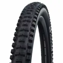 Schwalbe Big Betty 20