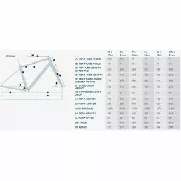 Felt Broam 60 4 Felt Broam 60 - Imagen 2