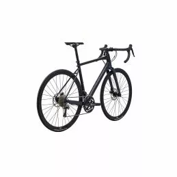 Marin Gestalt 2 8 Marin Gestalt 2 - Imagen 7