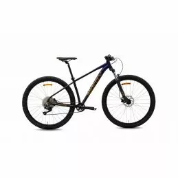 Monty Bikes KX11 4 Monty Bikes KX11 - Imagen 2