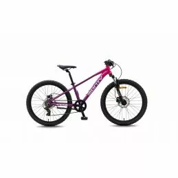 Monty Bikes KX7D 4 Monty Bikes KX7D - Imagen 2