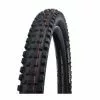 Schwalbe Magic Mary 29