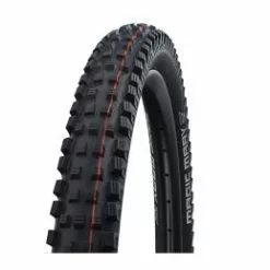 Schwalbe Magic Mary 29