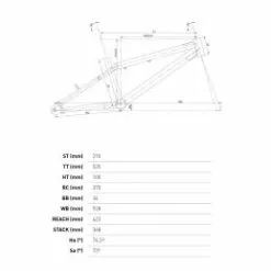 Conor Rave -Bicicleta Ventas rave 4