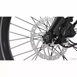 Legend Siena 7 Legend Siena - Imagen 5