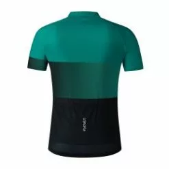 Shimano Team -Bicicleta Ventas team 7