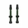 WTB Valvulas TCS Aluminio 46 Mm Verde -Bicicleta Ventas valvulas tcs aluminio 46 mm verde
